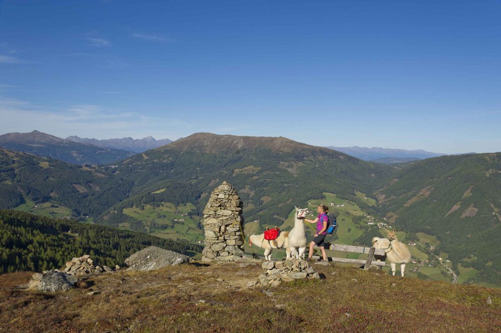 Carinzia