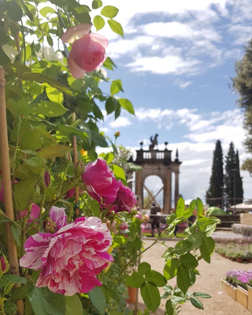 Perugia Flower Show