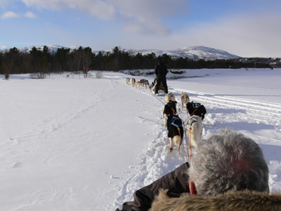 Northern lights 2011 - 6