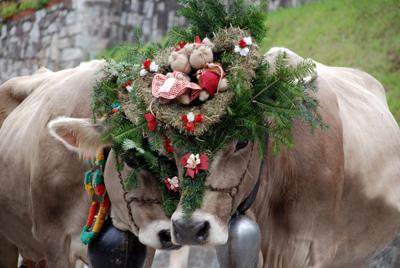 gran festa del Desmontegar