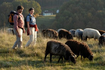 Vacanze a piedi in Germania
