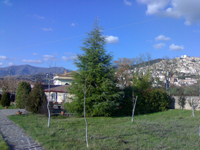 Raduno Agriturismotresanti