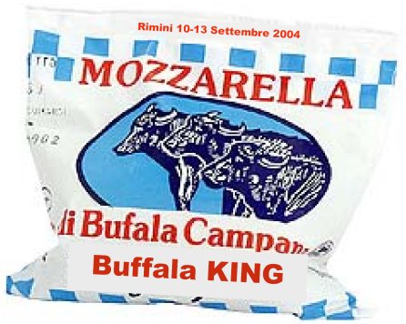 Buffala KING, ovvero la foto più … buffa | Rimini 2004