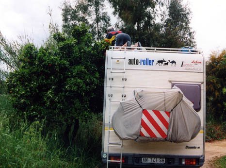 Buffala KING, ovvero la foto più … buffa | Rimini 2004