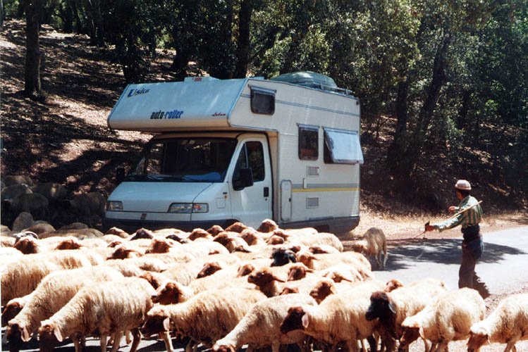 Buffala KING, ovvero la foto più … buffa | Rimini 2004