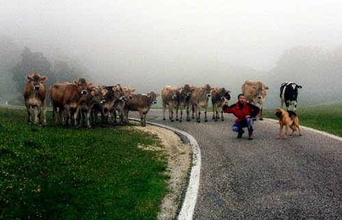 Buffala KING, ovvero la foto più … buffa | Rimini 2004