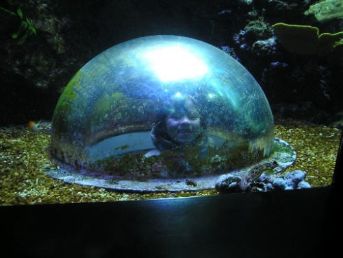 Buffala KING, ovvero la foto più … buffa | Rimini 2004