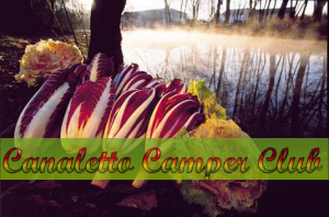 canaletto-camper-club-festa-radicchio