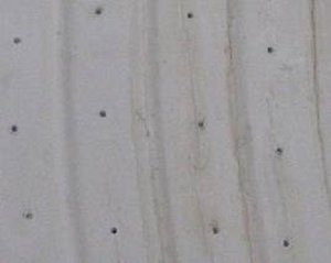 roberto-piattodoccia-03