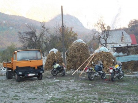 Le nostre inseparabili compagne