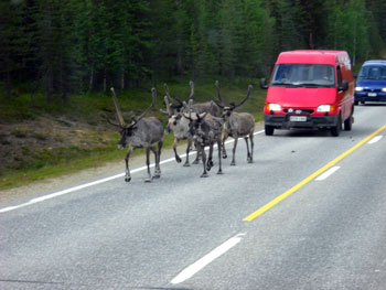 Viaggio in camper nel Grande Nord