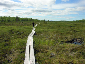 Viaggio in camper nel Grande Nord