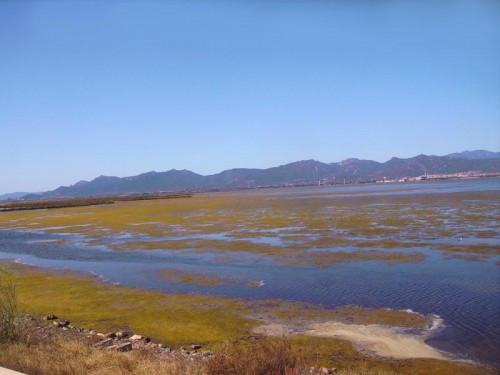 Lo stagno di Santa Gilla