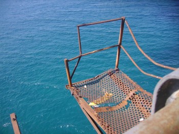 trasportatore-estensibile