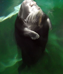 Viaggio in camper nel Grande Nord