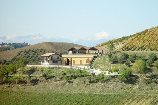 Agriturismo Azienda Agricola il Poggio del- Belvedere