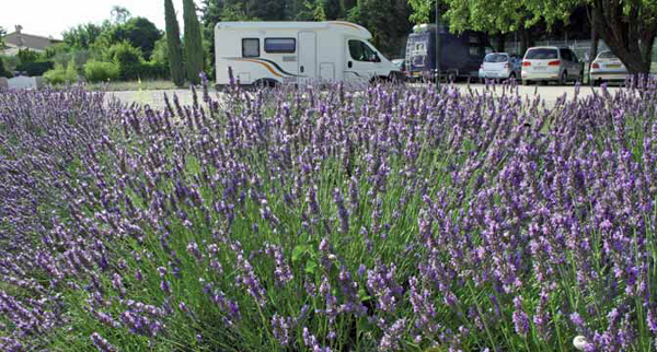 Viaggio di nozze in camper