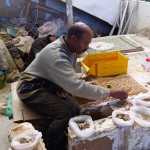 Fes Artigiano del mosaico