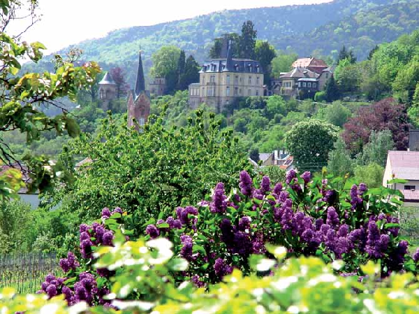 Germania, Haardter Schlossel - Rolf Schadler Germania, Haardter Schlossel - Rolf Schadler