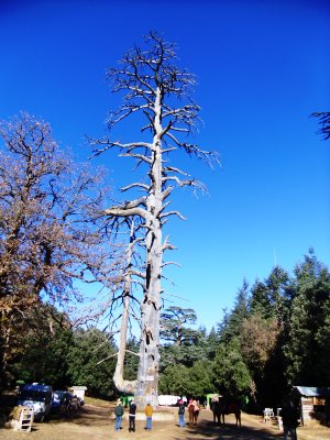 Viaggio in camper per il Capodanno in Marocco