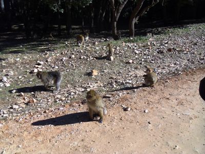 Viaggio in camper per il Capodanno in Marocco