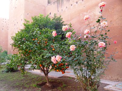 Viaggio in camper per il Capodanno in Marocco