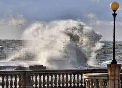 livornese-raduno-camper