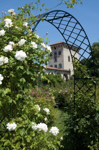 Tour al profumo di rosa in Franciacorta
