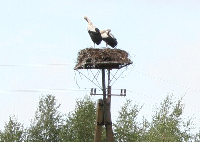 I parchi nazionali e le città della Polonia