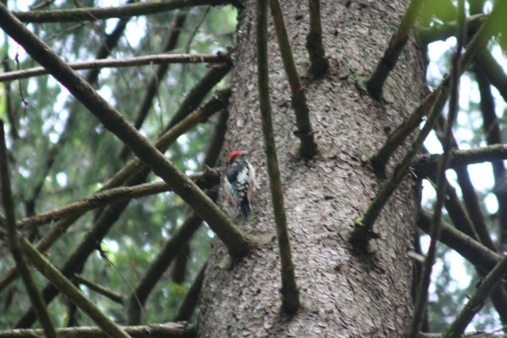 I parchi nazionali e le città della Polonia
