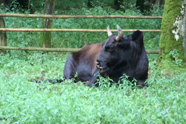I parchi nazionali e le città della Polonia