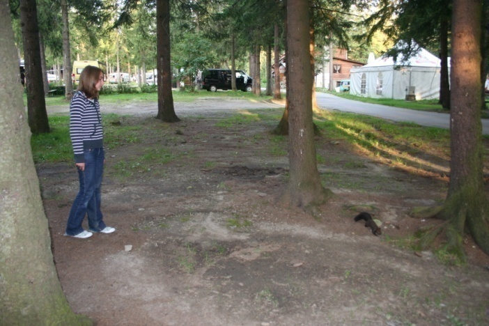 I parchi nazionali e le città della Polonia