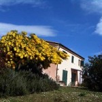B&B Colle Lauro | Ancona