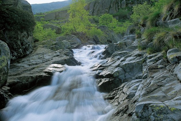 A Biella a passeggio con gli asinelli