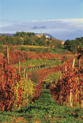 Carso sloveno in autunno | Dutovlje