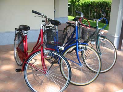 Spedalata romagnola 2012