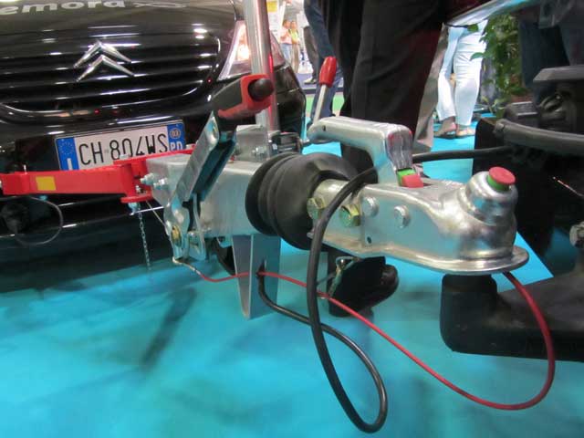 Remora rimorchio Remora rimorchio