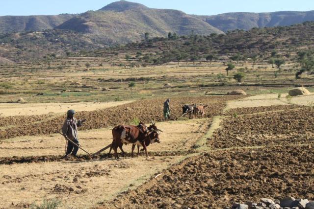 Viaggio in Etiopia, Paese pieno di storia, monumenti e tradizioni