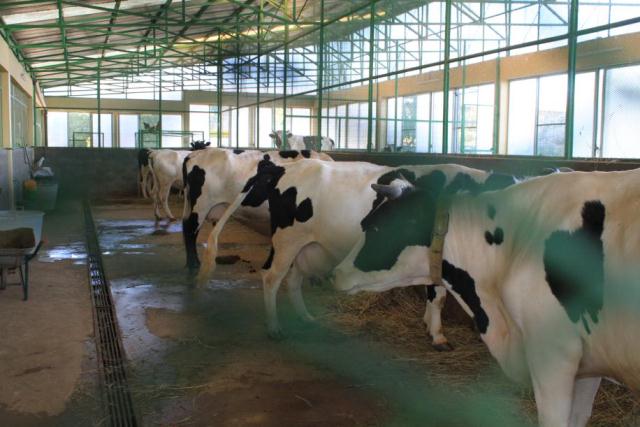 Viaggio in Etiopia, Paese pieno di storia, monumenti e tradizioni