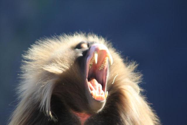 Viaggio in Etiopia, Paese pieno di storia, monumenti e tradizioni