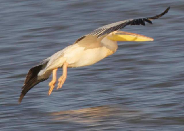 Viaggio in Etiopia, Paese pieno di storia, monumenti e tradizioni