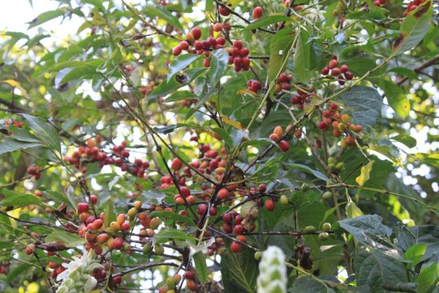 Viaggio in Etiopia, Paese pieno di storia, monumenti e tradizioni