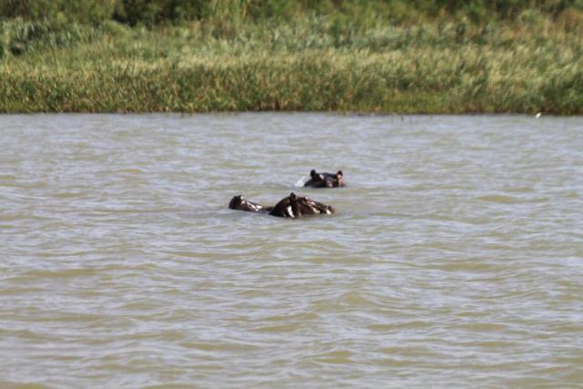 Viaggio in Etiopia, Paese pieno di storia, monumenti e tradizioni