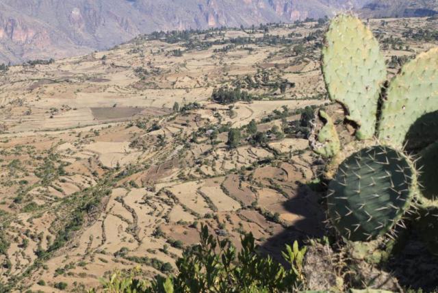 Viaggio in Etiopia, Paese pieno di storia, monumenti e tradizioni