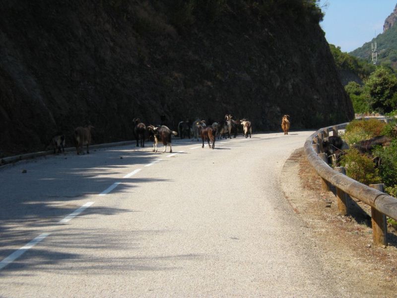 La Corsica da nord a sud insieme a Giacomo ed Erika a bordo del loro GS 1150