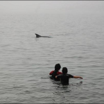 Camilla e Carolina giocano con un delfino