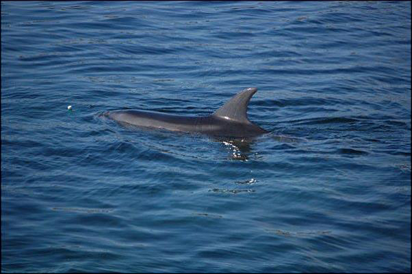 Irlanda: tra paesaggi spettacolari e gastronomia