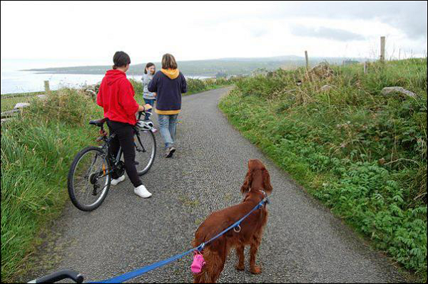 Irlanda: tra paesaggi spettacolari e gastronomia