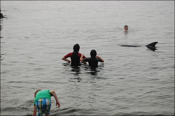 Irlanda: tra paesaggi spettacolari e gastronomia