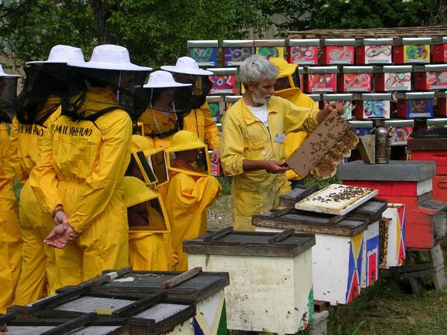 Per Corti e Cascine: Apicoltura Agricola Bonizzo